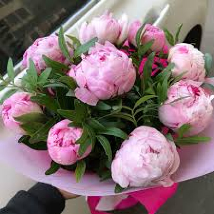 Пион древовидный в Макинске