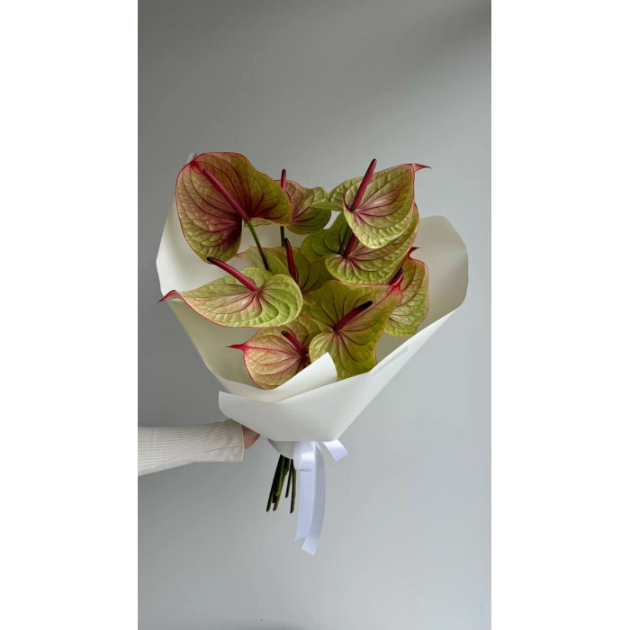 Антуриумы в Макинске