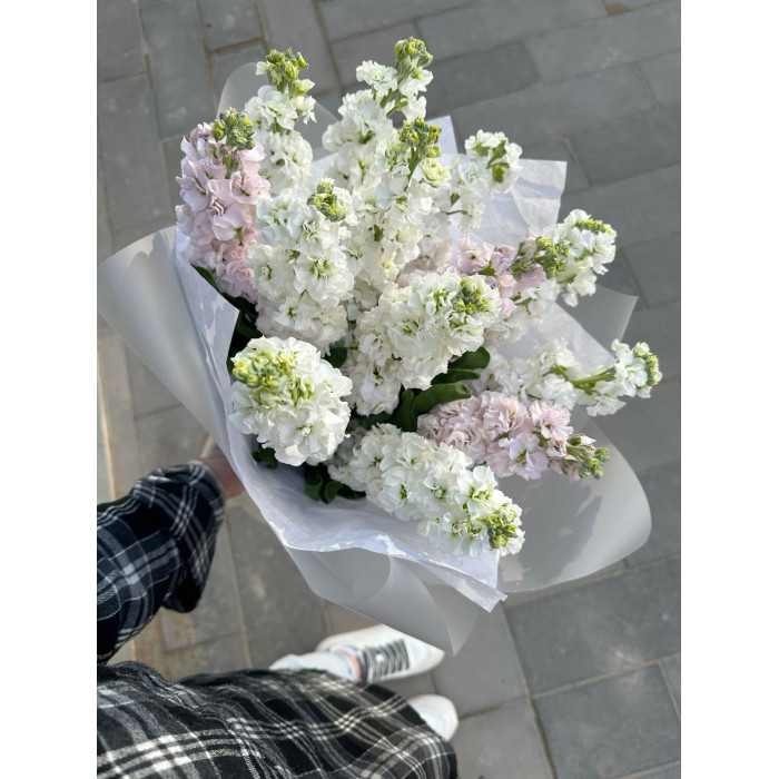 Маттиола в Макинске