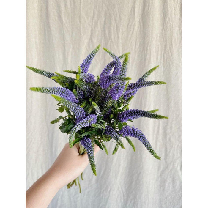 Вероника в Макинске