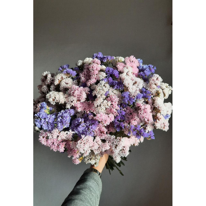 Статица (Лимониум) в Макинске