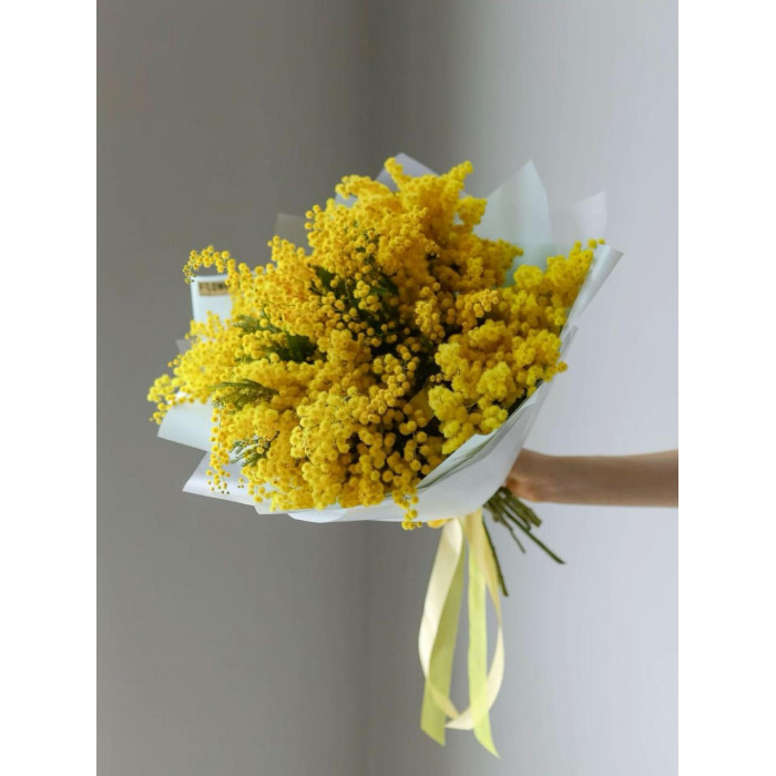 Мимоза в Макинске