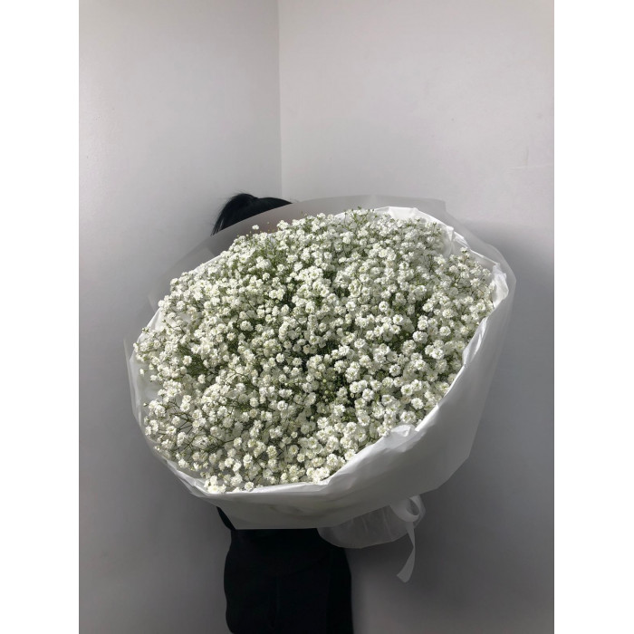 Гипсофила классическая в Макинске