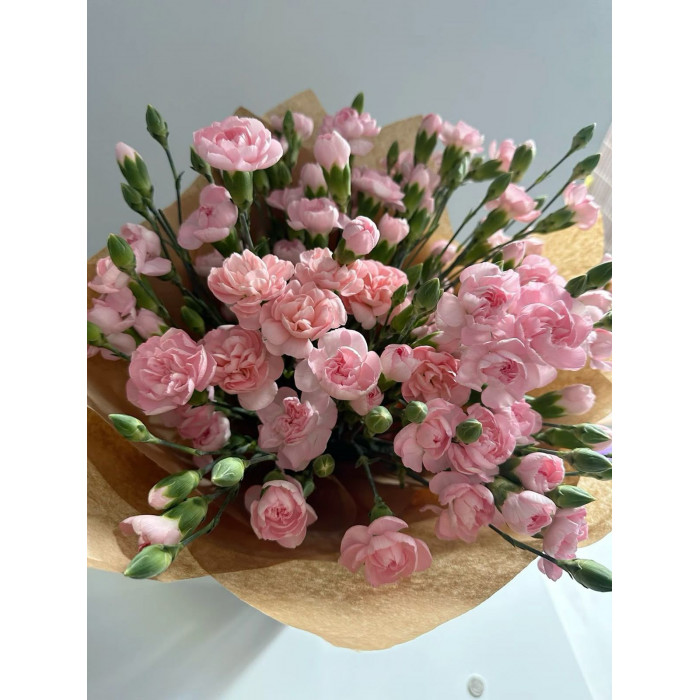 Кустовые гвоздики в Макинске