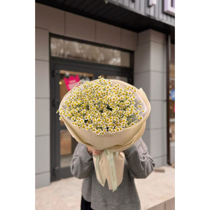 Танацетум в Макинске