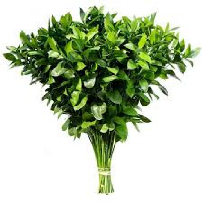 Рускус в Макинске