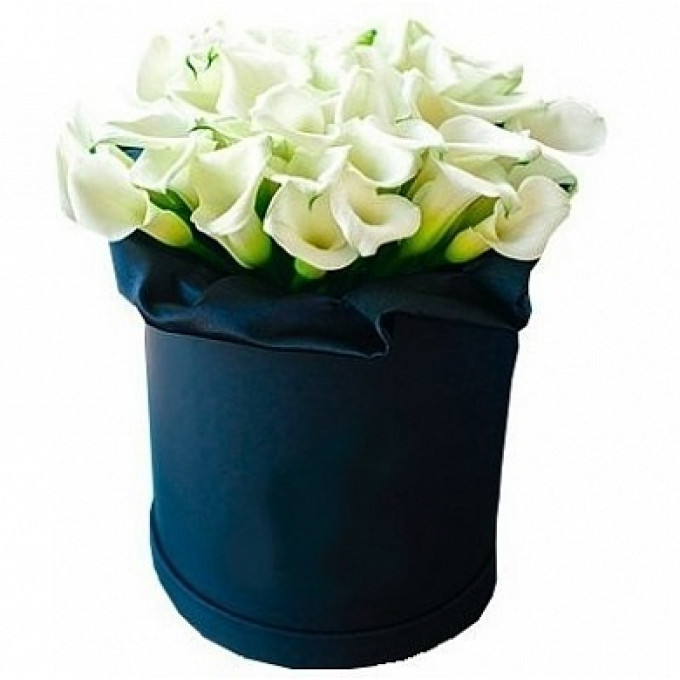 Каллы в шляпной коробке (39 шт.)