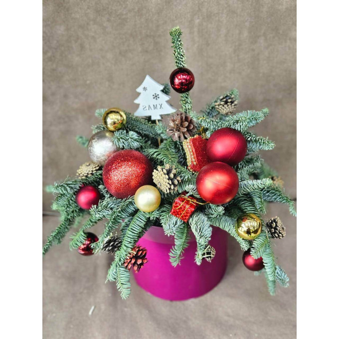 Коробка с нобилисом Новогодний сюрприз Коробка с нобилисом Новогодний сюрприз