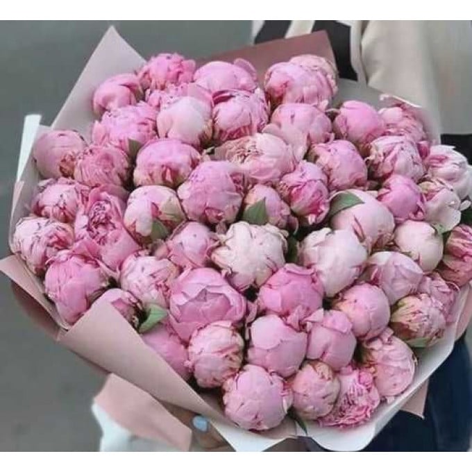 Букет из 101 пиона Букет из 101 пиона